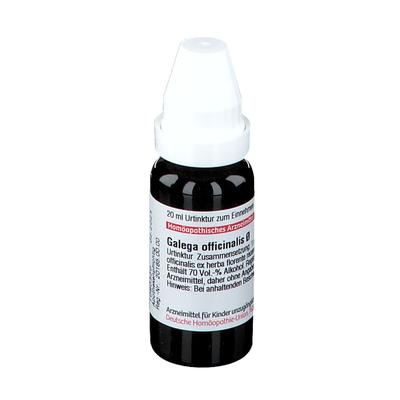 Galega officinalis Urtinktur 20 ml Dilution Image
