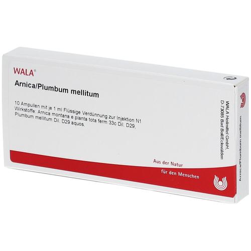 Arnica/Plumbum /Mellitum Ampullen 10x1 ml