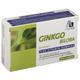 Ginkgo 100 mg Kapseln+B1+C+E 48 St Kapseln