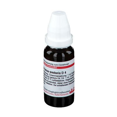 Capsella Bursa pastoris D 4 Dilution 20 ml Image