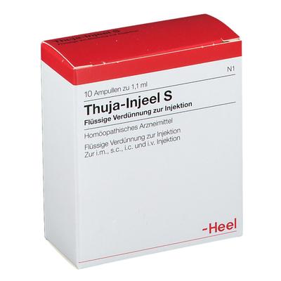 Thuja Injeel S Ampullen 10 St Image