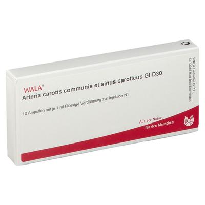 Arteria Carotis Communis et sin.carot.GL D 30 Amp. 10x1 ml Ampullen Image