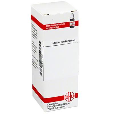 Aletris Farinosa Urtinktur 20 ml Dilution Image