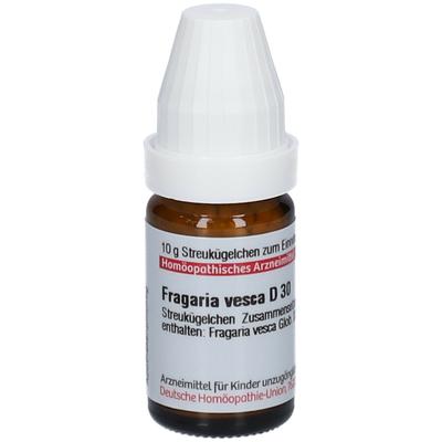 Fragaria Vesca D 30 Globuli 10 g Image