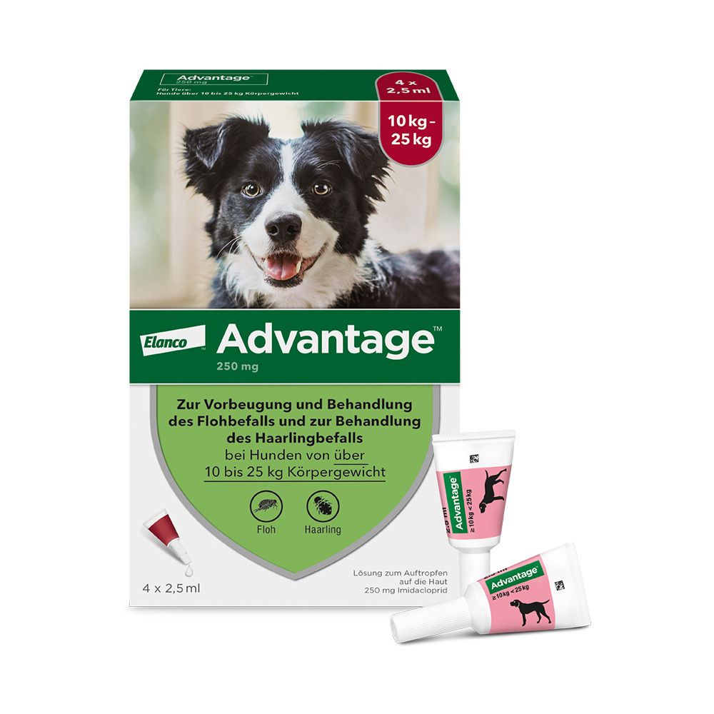 Advantage 250 Lösung f.Hunde 10-25 kg 4 St Image