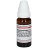 Populus Tremuloides D 4 Dilution 20 ml