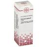 Viburnum Opulus Urtinktur 20 ml Dilution