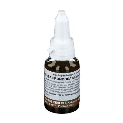 Grifola frondosa D 5 Tropfen 30 ml zum Einnehmen Image