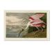 Bay Isle Home™ Roseate Spoonbill by John James Audubon - Painting Print Canvas in Pink | 16 H x 24 W x 2 D in | Wayfair