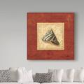 Highland Dunes 'Red Frame Shell II' Graphic Art Print on Wrapped Canvas in Green/Red | 18 H x 18 W x 2 D in | Wayfair