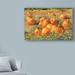 Charlton Home® 'Pumpkin Harvest' Photographic Print on Wrapped Canvas Metal in Orange | 22 H x 32 W x 2 D in | Wayfair