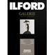 ILFORD GALERIE Premium Matt Duo 200 gsm A4 - 210 mm x 297 mm 50 Blatt