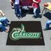 FANMATS NCAA University of North Carolina Charlotte Starter 72 in. x 60 in. Non-Slip Outdoor Door Mat Synthetics | 60 W x 72 D in | Wayfair 4797