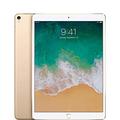 Apple iPad Pro 12.9 (2nd Gen) 64GB Wi-Fi - Gold (Renewed)