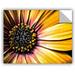 August Grove® Jaquez Golden Shasta Daisy Removable Wall Decal Metal in Yellow | 24 H x 32 W in | Wayfair A60536C02B524459BB8FC42F87CE65B4