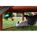 Archie & Oscar™ Greta Poultry Waterer, Stainless Steel | 26 H x 5 W x 5 D in | Wayfair 42280A94FCEC47519D7DBE5A0F873DD1