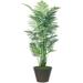 Bayou Breeze Metal Palm Tree in Planter Metal in Brown | 84 H x 22 W x 22 D in | Wayfair BBZE1572 39051154