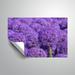Ophelia & Co. Allium Removable Wall Decal Vinyl, Glass in Indigo | 16 H x 24 W in | Wayfair D3884FECDA4644FD947CF2D86987E262