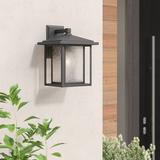 Lark Manor™ Iwan 1 - Bulb Outdoor Wall Lantern Glass/Metal in Black | 15.25 H x 12 W x 11 D in | Wayfair 9C082D4A93D04BB686C3998C7B1EB1E6