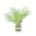 Bay Isle Home™ Akeyah Floor Palm Plant in Rope Embellished Glass Pot Silk/Glass/Plastic | 18 H x 10 W x 10 D in | Wayfair