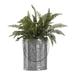 Gracie Oaks Boston Fern Plant in Basket Plastic/Metal | 23.5 H x 24 W x 24 D in | Wayfair 264135020DA54C1FA90F5AE3CDED4D8C