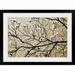 Great Big Canvas 'Dogwood I by Alan Hausenflock Photographic Print in Brown | 28 H x 38 W x 1 D in | Wayfair GE0170208_15_30x20