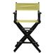 Casual Home Folding Director Chair Solid Wood in Black/Brown | 39.5 H x 23 W x 19 D in | Wayfair CHFL1214 33417984