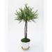Charlton Home® Small Thyme Floor Foliage Topiary in Pot Porcelain/Plastic | 31 H x 15 W x 15 D in | Wayfair 4278D7A290B04D6A81D87AE158F291DB