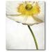 Courtside Market Alabaster Flutter Graphic Art on Wrapped Canvas in Gray/Yellow | 20 H x 16 W x 1.5 D in | Wayfair WEB-YG170