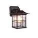 Darby Home Co Sanderson 1-Light Outdoor Wall Lantern Glass/Metal in Brown | 11.14 H x 8 W x 9.4 D in | Wayfair DBHM4359 41990933