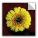 August Grove® Gemi Golden Gerbera Removable Wall Decal Vinyl in Yellow | 14 H x 14 W in | Wayfair B84CED2D64F8416386C625B0932398D6