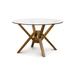 Copeland Furniture Exeter Round Glass Top Table Wood/Glass in Brown | 30 H x 60 W x 60 D in | Wayfair 6-EXE-36-43