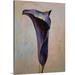 Winston Porter Anjlee Black Calla Lily' by Michael Creese Painting Print in White | 36 H x 27 W x 1.5 D in | Wayfair