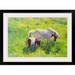 Great Big Canvas 'Piebald Horse & Foal' by William Ireland Painting Print Metal | 32 H x 44 W x 1 D in | Wayfair 1048796_15_36x24