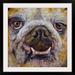 Winston Porter Anjlee Bulldog' by Michael Creese Painting Print Metal | 32 H x 32 W x 1 D in | Wayfair 7545C5FE22484664973A1E5097A50E23