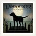 Winston Porter 'Moonrise Black Dog - Labrador Lake' by Ryan Fowler Vintage Advertisement | 20 H x 20 W x 1 D in | Wayfair