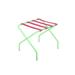 Innit Pamaleta Folding Metal Luggage Rack Plastic/Metal in Green | 20 H x 18 W x 18 D in | Wayfair i13-16-05n