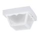 Highland Dunes Younkin 2-Light Outdoor Flush Mount Glass/Plastic in White | 5.5 H x 10.25 W x 10.25 D in | Wayfair HLDS8012 43313795