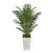 Bay Isle Home™ 36" Artificial Palm Tree in Decorative Vase Silk/Wood in Gray | 54 H x 30 W x 30 D in | Wayfair A291EB7C3352482D8BC3AD2282015F60
