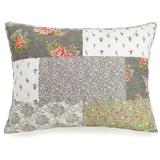 Jessica Simpson Home Floribunda Standard Sham 100% Cotton | 20 H x 26 W in | Wayfair A080416GYOHE