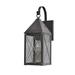 Longshore Tides Michaela 1-Light Outdoor Wall Lantern Brass in Brown | 16.75 H x 5.75 W x 8.75 D in | Wayfair 1CC81384EF864DA9885688DC8CA2C9A9