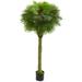 Bayou Breeze Fan Palm Artificial Tree UV Resistant (Indoor/Outdoor) Silk/Plastic | 66 H x 9 W x 9 D in | Wayfair A3D047375EB246F4BB90CE021AA102DB