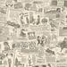 Ophelia & Co. Clowers Vintage Newspapers 32.7' L x 20.5" W Roll Wallpaper Paper in Gray/White | 20.5 W in | Wayfair