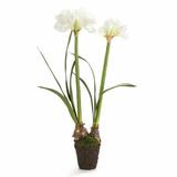 Red Barrel Studio® Double Drop Lilies Floral Arrangements & Centerpieces | 37 H x 11 W x 11 D in | Wayfair RBRS2459 39438316