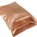 Rosdorf Park Citadel Pillowcase Silk/Satin in Brown | King | Wayfair ROSP5379 42973938