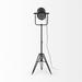 Trent Austin Design® Cauley 61" Tripod Floor Lamp Metal in Black | 61 H x 22 W x 22 D in | Wayfair 567BCD2A19324F96BD11AE10DD1F1580