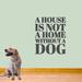 Sweetums Wall Decals 'A House is Not a Home Without a Dog' Wall Decal Vinyl in Black | 36 H x 30 W in | Wayfair 2063DkGray