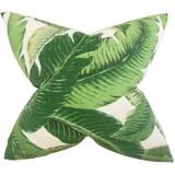 The Pillow Collection Aloe Sham 100% Cotton | 26 H x 26 W in | Wayfair EURO-W-800670-ALOE-OUT