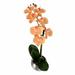 House of Hampton® Artificial Phalaenopsis Orchid Floral Arrangement in Pot Plastic | 18 H x 10 W x 5 D in | Wayfair