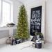 The Holiday Aisle® Carmel Slim Green Pine Trees Artificial Christmas Tree w/ 550 w/ White Clear LED String Lights in Black | 108" H | Wayfair